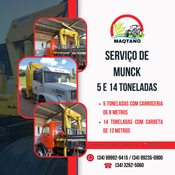 Serviço de Munck
